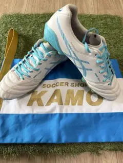 asics ds light x-fly 5 限定カラー 26 cm KAMO