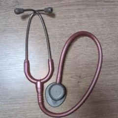 Item thumbnail for item 224ab261-5a6e-4f12-9fdb-dd21a06ac8fd