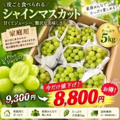 山梨県産 家庭用 シャインマスカット 6房 箱込み5.6kg ⑥ - メルカリ