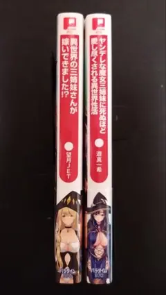 ぷちぱら文庫/2冊セット/オトナ文庫/二次元ドリームノベルズ/202608C