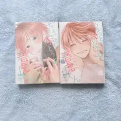 Item thumbnail for item b41fce1a-cd9a-4a16-bcba-1a24d9a63305