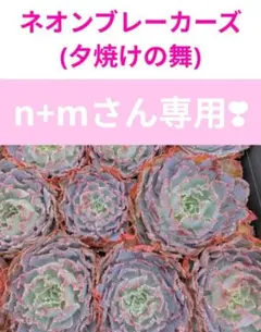 n+mさん専用❣