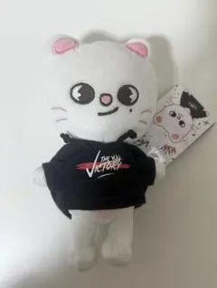 2026年最新】straykids victoryの人気アイテム - メルカリ