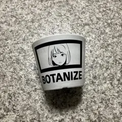 backsideworks BOTANIZE 初期 コラボ鉢 新品未使用 希少 backsideworks BOTANIZE 初期 コラボ鉢 2025年最新