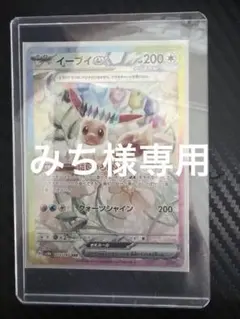 イーブイex SAR SV8a テラスタルフェスex 223/187