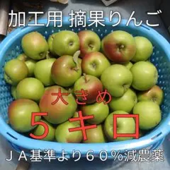 加工用　摘果りんご　約10キロ　送料無料地域限定　生食不適　43のサムネイル