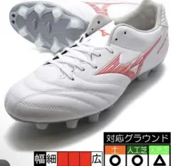 Item thumbnail for item ae86d98e-6d28-4712-b193-91b5694f9e61