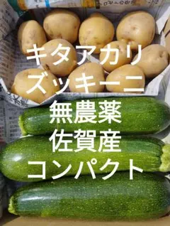 キタアカリズッキーニセット 佐賀産 農薬不使用 コンパクト箱いっぱいのサムネイル