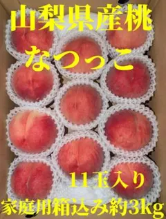 山梨県産桃　なつっこ　11玉入り　箱込み約3kg
