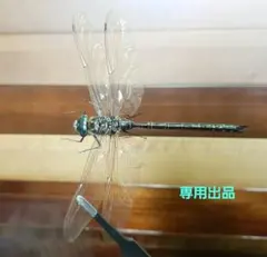 オモニリュック様 リクエスト 2点 まとめ商品