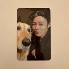 ハソンウン　トレカ　特典　blessed everline