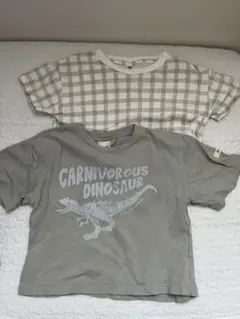 Tシャツ2枚セット