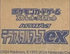 2026年最新】テラスタル カートンの人気アイテム - メルカリ