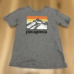 patagonia グレー Tシャツ 山デザイン