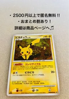 C.H.O様 リクエスト 2点 まとめ商品