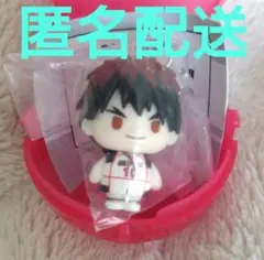 黒子のバスケ 火神大我 めじるしアクセサリー