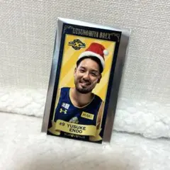 【数量限定】遠藤祐亮選手　クリスマスシール　宇都宮ブレックス　BREX