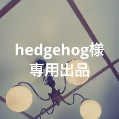 hedgehog様 専用出品