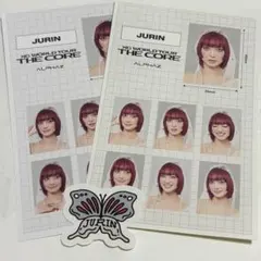 XG treasure trove 07ジュリン フォトシート 証明写真 - メルカリ