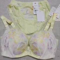 専用出品　重力に負けないバストケアブラE70ショーツM　他の方はご遠慮ください