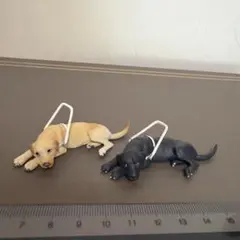 チョコQ どうぶつ奇想天外編 盲導犬２種