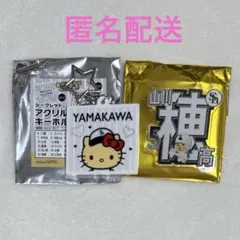 山川穂高 シークレットアクリルネームバッジ キーホルダー 鷹祭のサムネイル