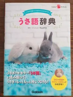 Item thumbnail for item 1c27855f-397a-4c5b-98e3-a0cde3669dd5