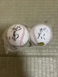 中日ドラゴンズ サインボール 2個セット　井端/福留