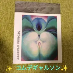 ✨新品✨コムデギャルソンGEORGlA O'KEEFFE 写真集
