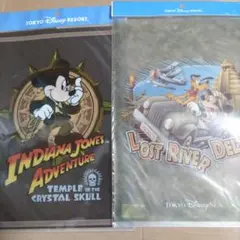 東京ディズニーシー インディ・ジョーンズアドベンチャー　クリアファイルのサムネイル