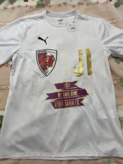 Item thumbnail for item 2734c38e-e2e1-4100-b3ff-5d09e9547909