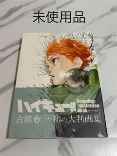 ハイキュー!! 画集　(初版) ハイキュー!! Complete Illustration book 終わりと始まり／古舘