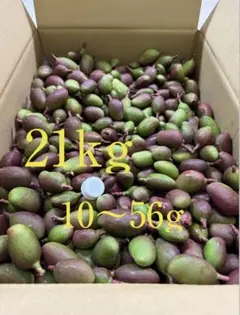 2026年最新】摘果マンゴーの人気アイテム - メルカリ