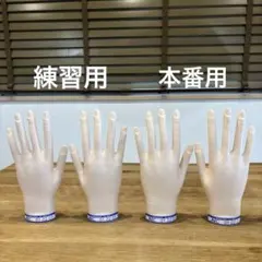 ネイリスト検定　モデルハンド✖️2　ルースキューティクル　両面テープ　セット