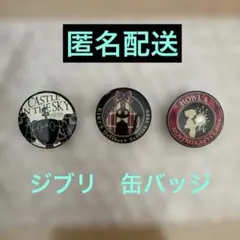 ジブリがいっぱい キャラバッジコレクション　3個