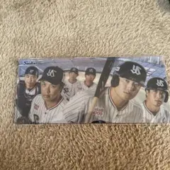 Item thumbnail for item 966ddfc4-862a-45cb-ae85-aed9883bec22