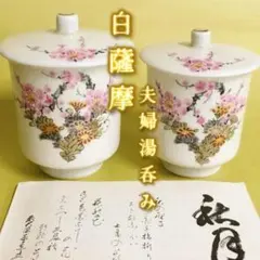 Item thumbnail for item b476b26a-27af-4e13-8955-fbcd64e36efa