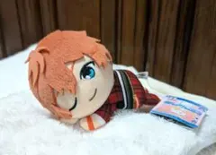 あんさんぶるスターズ！くつろぎぬいぐる　Trickstar〜明星スバル