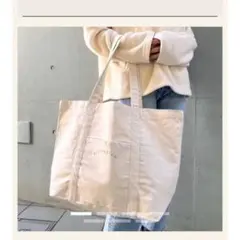 値下げ中！ALEXIASTAN ハッピーバッグ中身なしのサムネイル