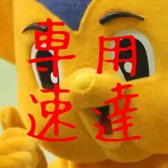 多分岐有望株 ユーフォルビア ギラウミニアナ 国内実生21 - メルカリ