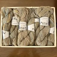 Champerny laine FUTAIE インポート 毛糸 14カセ