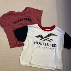 ホリスター　クロップド丈　Tシャツ 2枚セット