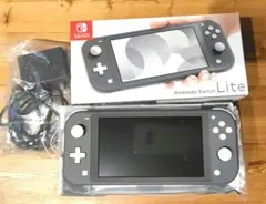 Nintendo Switch Lite グレー 使用頻度少 付属品完品