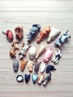 zoo zoo zoo シリーズ 23体セット