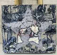 非売品ディオール　バースデーギフト　プラチナ会員　トートバッグ