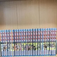 スティール・ボール・ラン 1～24巻 全巻