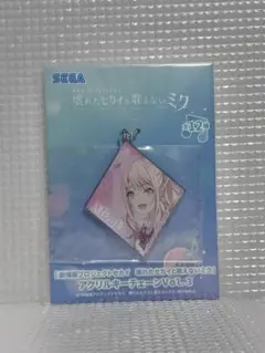 劇場版プロジェクトセカイ 壊れたセカイと歌えないミク 暁山瑞希