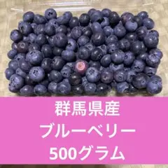 ブルーベリー　群馬県産　500グラムのサムネイル