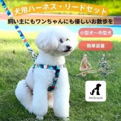 今だけ値下げ！新品⭐︎未使用⭐︎PetGround 犬用ハーネス・リードセット