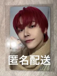 &TEAM 雪明かり デビュー日ヨントン ニコラス NICHOLAS トレカ